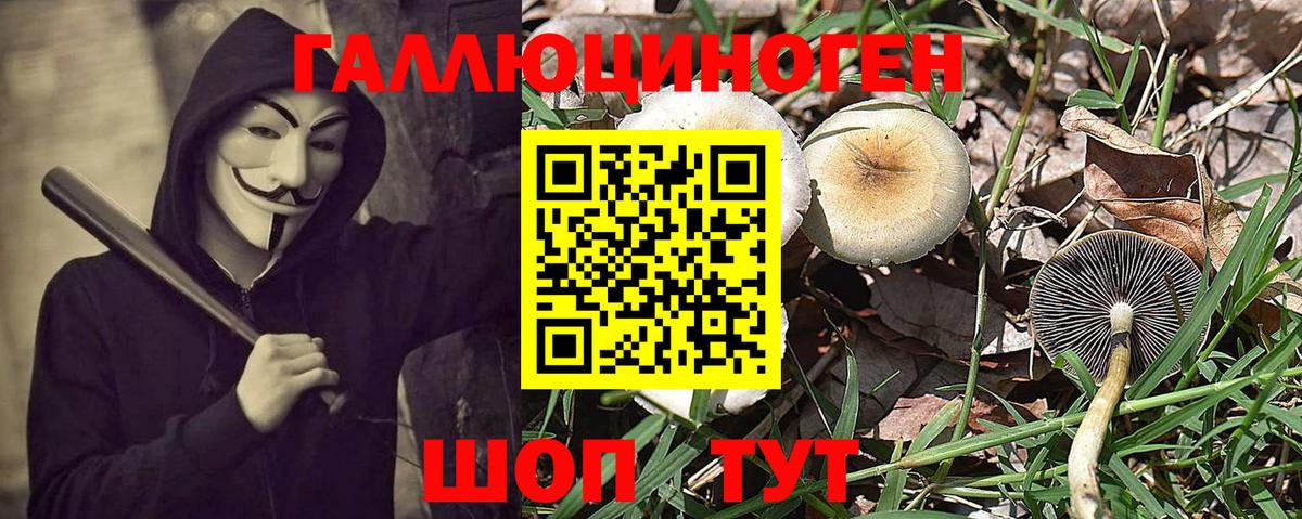 Галлюциногенные грибы Magic Shrooms  Псилоцибиновые грибы мухоморы  Вход с VPN  Балашов 