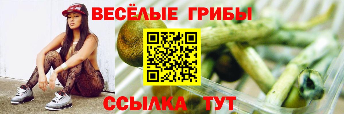 Галлюциногенные грибы Magic Shrooms Балашов